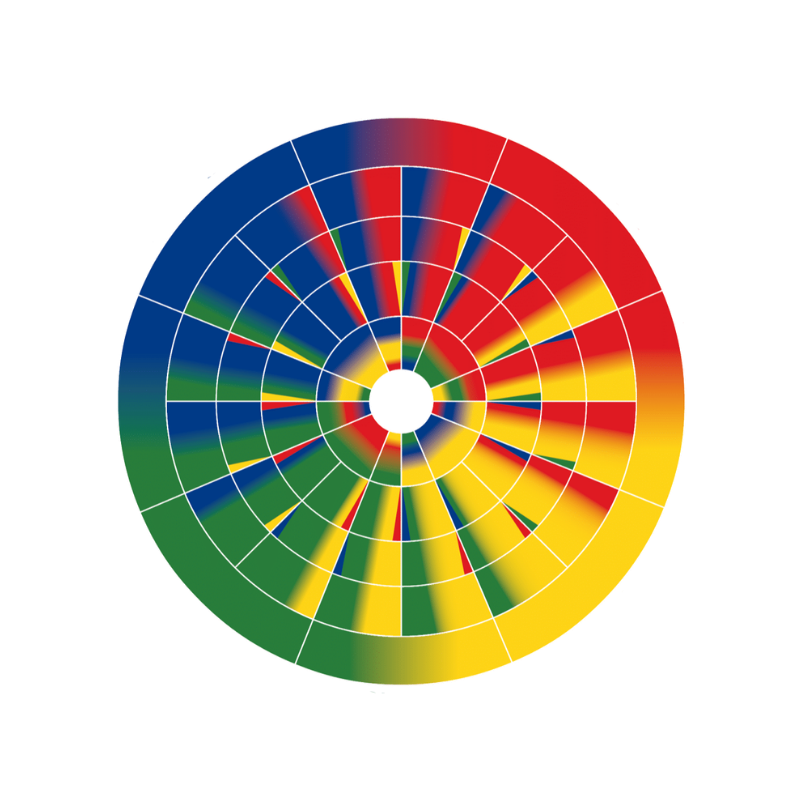 AECdisc® Rad mit den vier DISC-Dimensionen